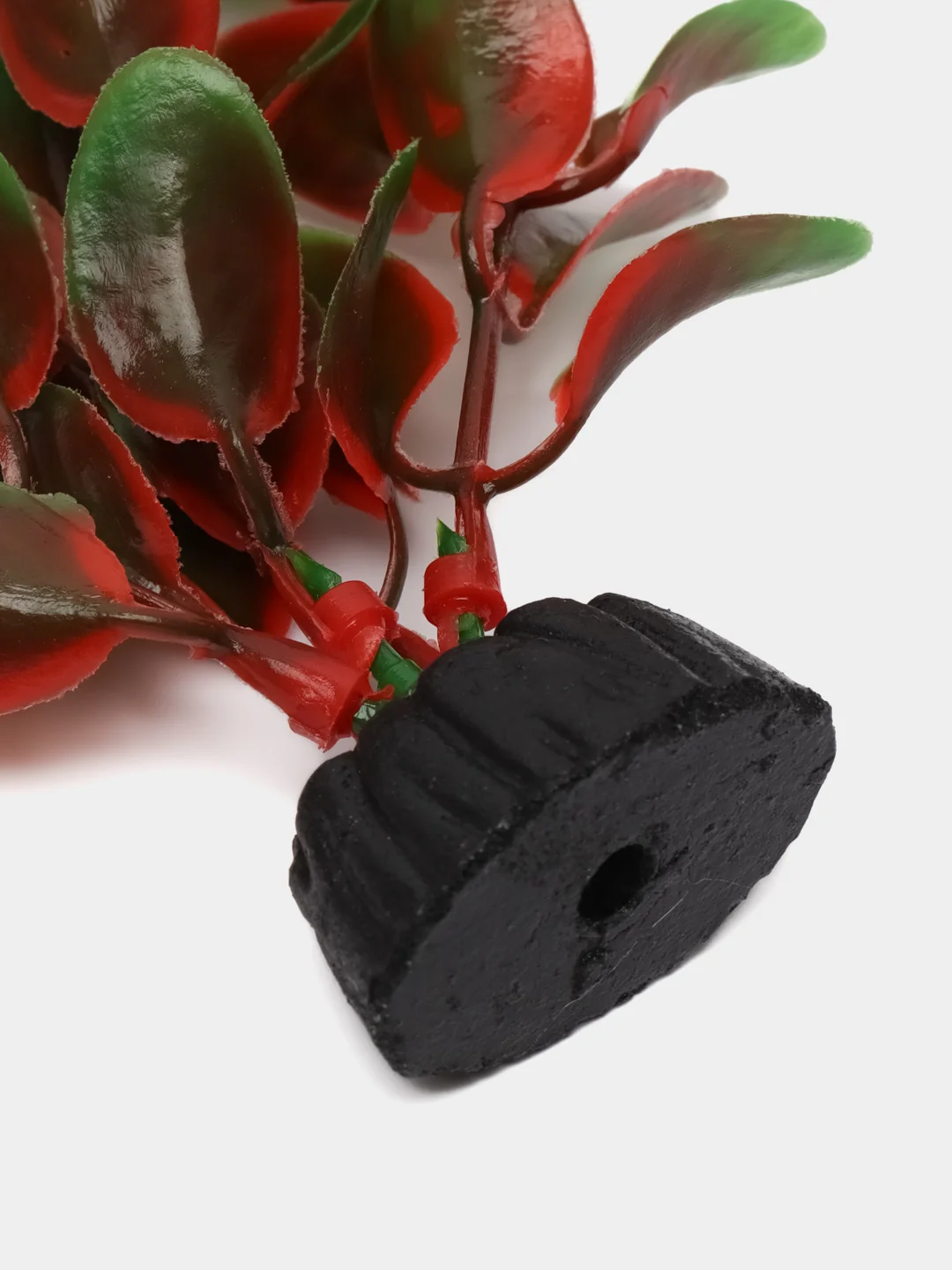 Растение для аквариума Plant 006 Людвигия красная