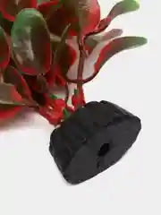 Растение для аквариума Plant 006 Людвигия красная