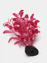 Растение для аквариума  Plant 017 Альтернатера лиловая 10 см