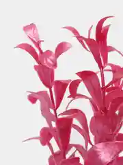 Растение для аквариума  Plant 017 Альтернатера лиловая 10 см