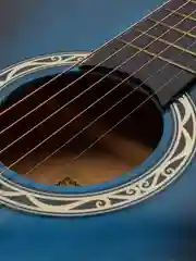 Акустическая гитара Cowboy 3810C BLS