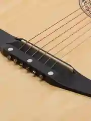 Гитара акустическая Cowboy 3810C N