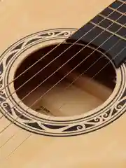 Гитара акустическая Cowboy 3810C N