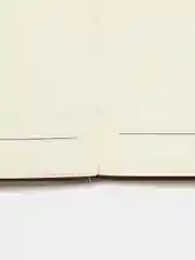 Коричневый ежедневник для записей, еженедельник, планер, блокнот с застежкой / заклепкой