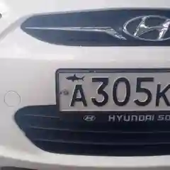 Черный наклейка на гос номер "Акула", 2 х 5 см