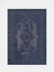 Турецкий ковер CARINA RUGS ATLAS 148400 01VU, 0.60*1.10