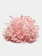 Розовый тычинки для цветов, глянцевые, 200 штук