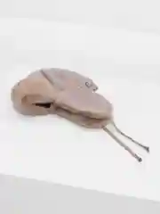 Шоколадный шапка ушанка женская, зимняя