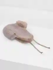 Шоколадный шапка ушанка женская, зимняя