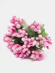 Розовый тычинки с сахарными вставками 12 шт