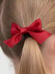 Багровый резинки для волос, набор