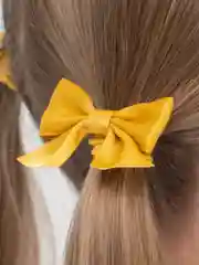 Лимонный резинки для волос, набор