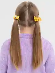 Лимонный резинки для волос, набор