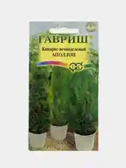 Кипарис Аполлон вечнозеленый, семена, цветы