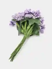 Фиолетовый тычинки с сахарными вставками 12 шт