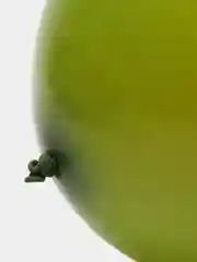 Оливковый воздушный шар, однотонный, 12 дюймов, 10 штук