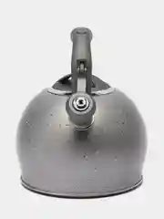 Чайник Valleya VL4050 "Серый гранит", 3 л