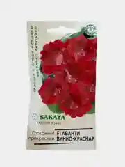 Глоксиния Аванти винно красная (семена,цветы)
