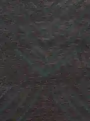 Турецкий ковер CARINA RUGS MAGIC 134206 06VU, 0.60*1.10