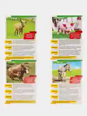Белый мини-энциклопедии "Мир животных", 20 страниц