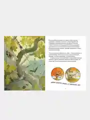 Крошка Венди и дом на дереве. Подарочное издание, Ричардсон Стив