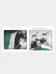 С Новым годом, Шмяк!, Скоттон Роб