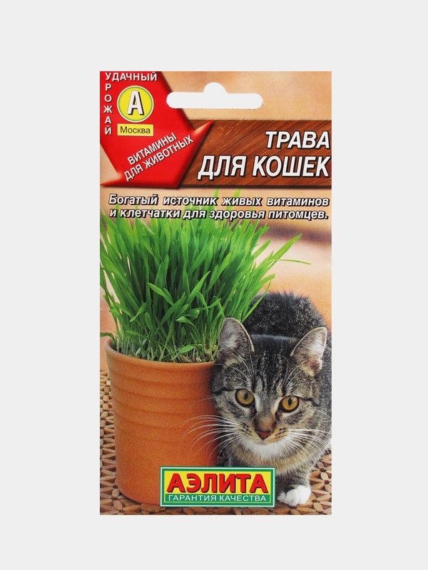 Трава для кошек, семена