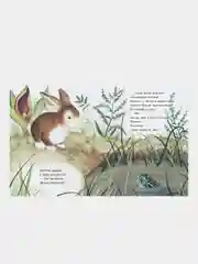 Золотая библиотечка малыша. Зайчик ищет дом, Браун Маргарет Уайз