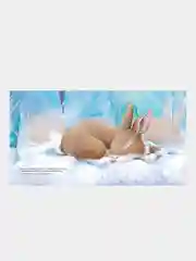 Зайчонок хочет домой, Бэгели Элизабет