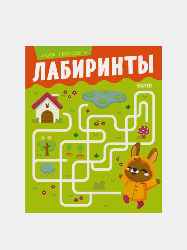 Развивайся и играй! Учусь проходить лабиринты, Коллектив авторов
