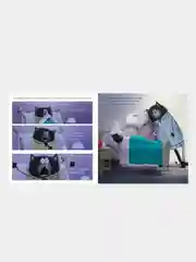 Котенок Шмяк. Добрых снов, Шмяк!, Скоттон Роб