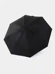 Черный зонт Xiaomi Zuodu Capsule Umbrella