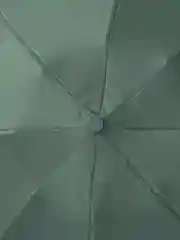 Лавандовый зонт Xiaomi Zuodu Capsule Umbrella