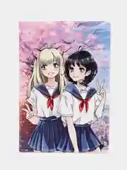 Конфетный обложка для паспорта