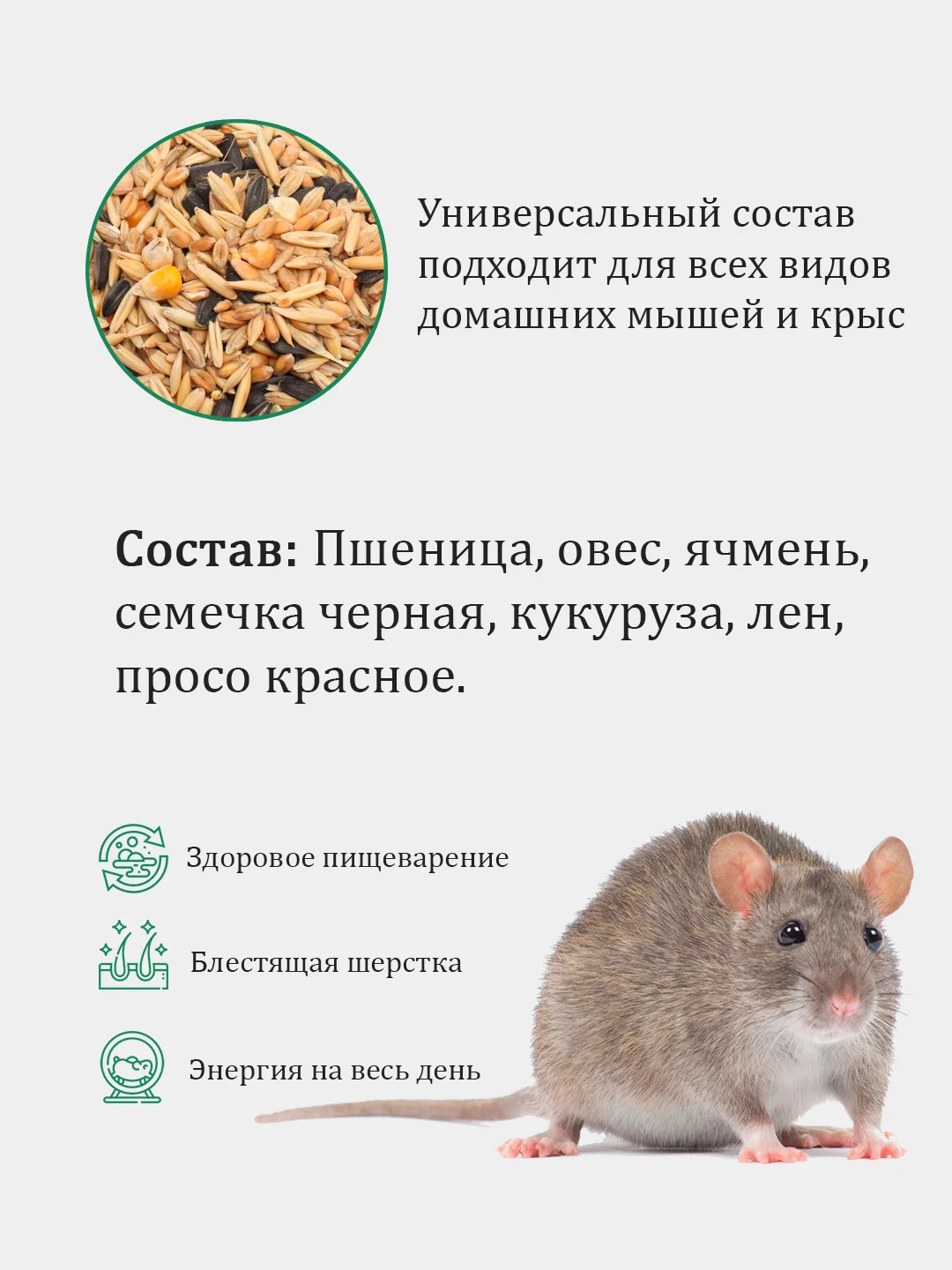 Корм для крыс и мышей, 1 кг
