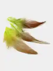 Желтый декоративные перья, натуральные, 100 штук