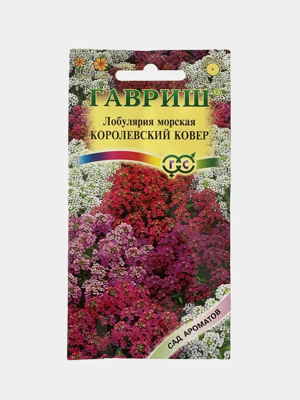 Лобулярия морская Королевский ковер (семена,цветы)