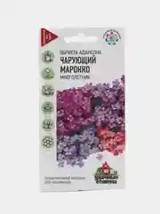 Обриета "Чарующий марокко", семена, цветы