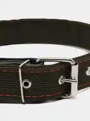 Ошейник брезентовый двухслойный, 72 х 3,6 см, ОШ 45-60 см, хаки
