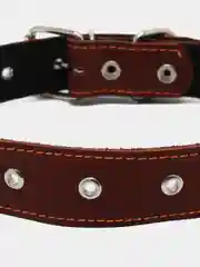 Ошейник кожаный на синтепоне, безразмерный, 71 х 3,5 см, ОШ 29-62 см, коричневый