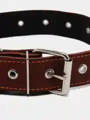 Ошейник кожаный на синтепоне, безразмерный, 71 х 3,5 см, ОШ 29-62 см, коричневый