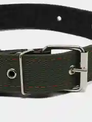 Ошейник брезентовый, на фетре, 71 х 3,5 см, ОШ 30-55 см, тёмно-зелёный