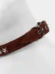 Ошейник кожаный на синтепоне "Ёж", 56 х 2.5 см, ОШ 35-45 см, коричневый