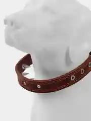 Ошейник кожаный "Строгий шип", 56 х 2.5 см, ОШ 35-45 см, коричневый