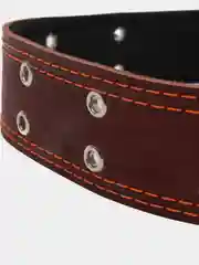 Ошейник кожаный, на синтепоне, безразмерный, 83 х 4.5 см, ОШ 20-71 см, коричневый
