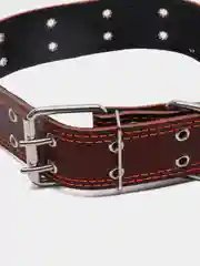 Ошейник кожаный, на синтепоне, безразмерный, 83 х 4.5 см, ОШ 20-71 см, коричневый