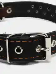 Ошейник кожаный, однослойный, клёпаный, 60 х 3 см, ОШ 45-57 см, чёрный