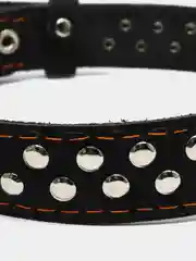 Ошейник кожаный, однослойный, клёпаный, 60 х 3 см, ОШ 45-57 см, чёрный