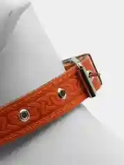 Ошейник комбинированный, безразмерный, кожа/брезент, 60 х 3 см, ОШ 30-57 см, рыжий/зелёный