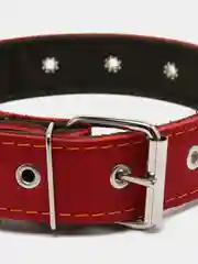 Ошейник комбинированный кожа/брезент, безразмерный, 70 х 3,5 см, ОШ 25-60 см, красный